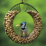 this is a slinky that has been pulled and stretched around a piece of wire. If only we had those pretty birds as well coming to our garden
